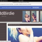 BaddBirdie Logins