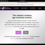 Logins Silversluts Free