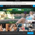 Spizoo Codes
